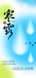 寒露时节飞鸟与文字画面