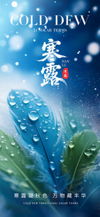 寒露时节叶片露珠美景