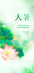 大暑时节荷花绽放