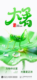 夏日荷叶上的清新大瑶