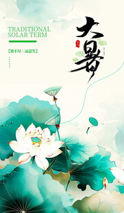 大暑时节荷花绽放图景