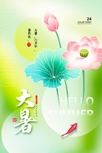 大暑时节荷花绽放图景