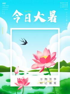今日大暑荷花美景日历图