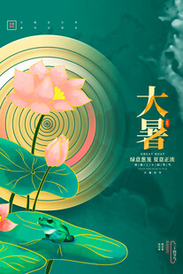 大暑时节荷花绽放图景