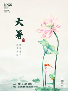 大暑时节荷花锦鲤图
