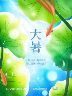 大暑时节荷叶荷花图景