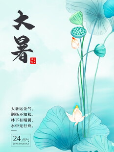 大暑时节荷花绽放图景