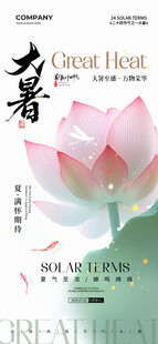 夏日荷花绽放