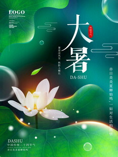 大暑时节荷花绽放美景