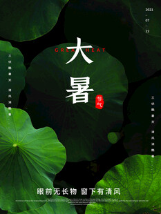 大暑时节荷叶间的诗意