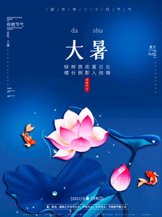 大暑时节荷花绽放图景