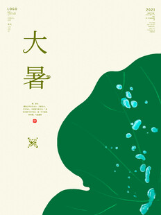 大暑时节荷叶清新画面