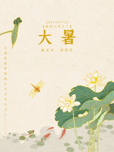 大暑时节荷塘小景