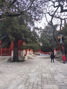 古寺庭院中的漫步场景