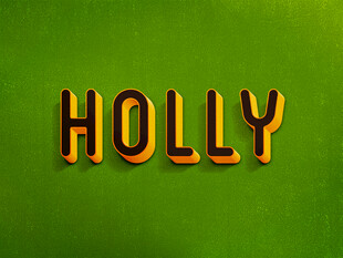 绿色背景上的HOLLY字样