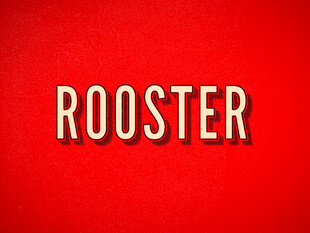 红色背景上的ROOSTER字样