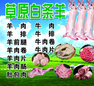 草原白条羊及各类羊肉产品