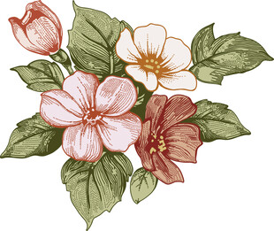 花卉