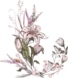 花卉
