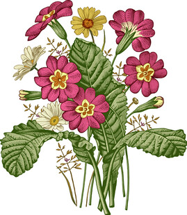 花卉