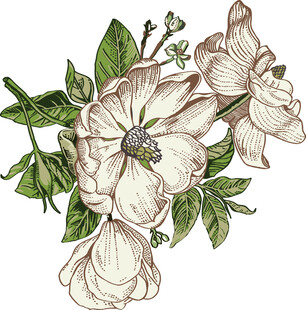 花卉