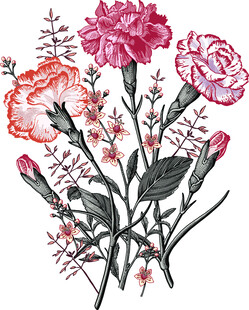花卉