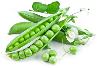 豌豆荚与豌豆