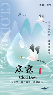 寒露时节白鹤飞翔美景