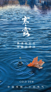 寒露节气唯美插画意境图