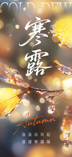 寒露时节美景
