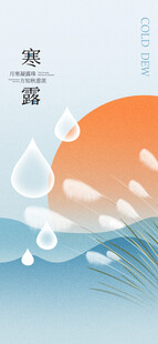 寒露时节水滴与芦苇图景
