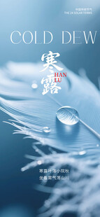 寒露时节露珠晶莹画面