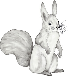 站立的松鼠黑白插画
