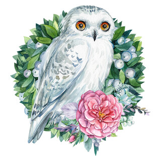 雪鸮与花卉的梦幻插画