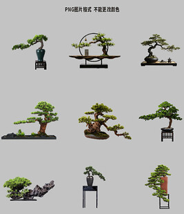 松树盆景素材