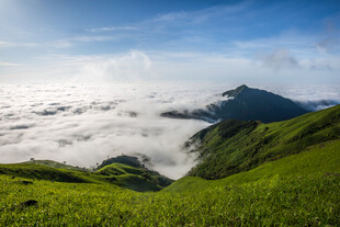 山间云海绿野葱茏美景