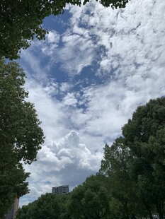 夏天的云