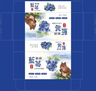 蓝莓包装