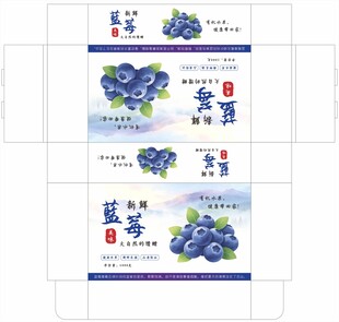 蓝莓包装