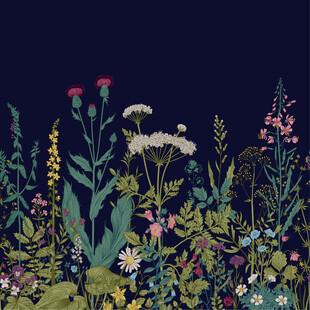 花卉