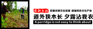 道外洪水漫堤淹没农田