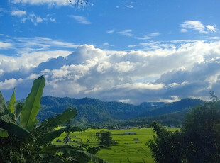 山间绿野蓝天白云美景