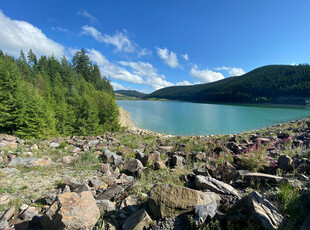 湖畔岩石边的自然美景