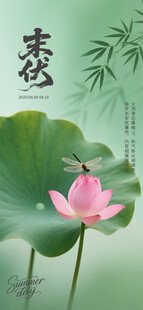 三伏天