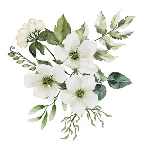 白色花卉绿植组合插画