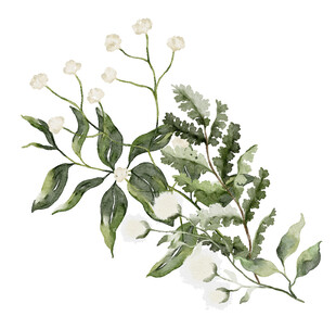 白色花卉绿叶植物组合