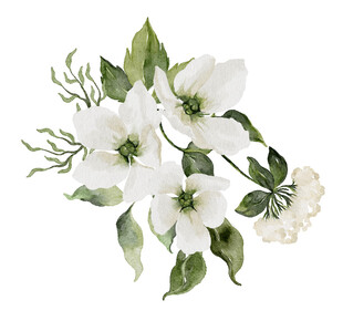 白色花卉水彩画