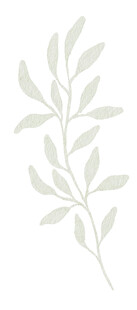 简约植物枝叶图案