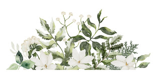 清新绿植花卉组合画面