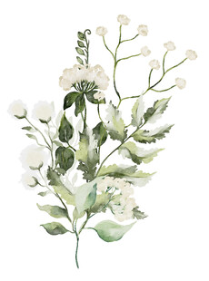 白色花卉水彩插画
